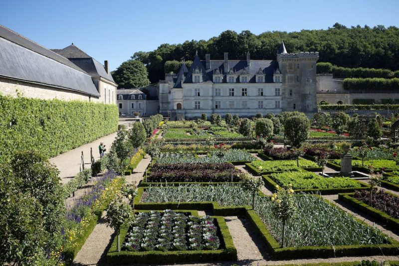 Orto didattico ed orto sociale: una sfida del futuro.